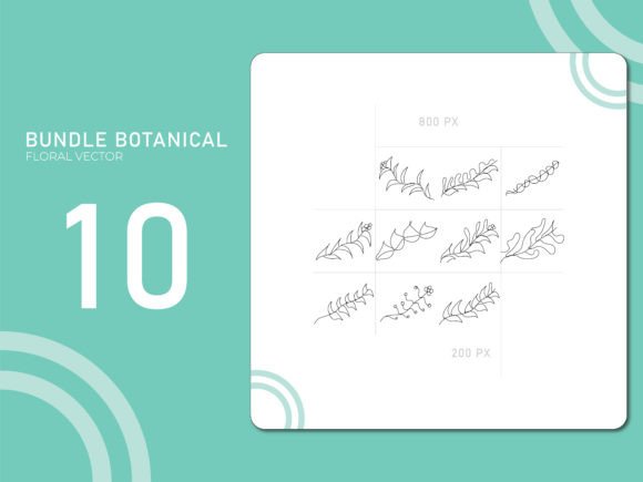 Hand Drawn Botanical 12: Elevate Your Visual Identity