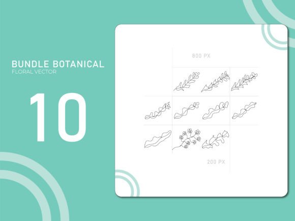Hand Drawn Botanical 15: A Practical Evaluation for Creative Professionals