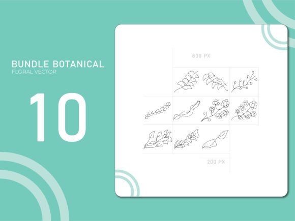 Hand Drawn Botanical 16: Organic Design Assets for Creators